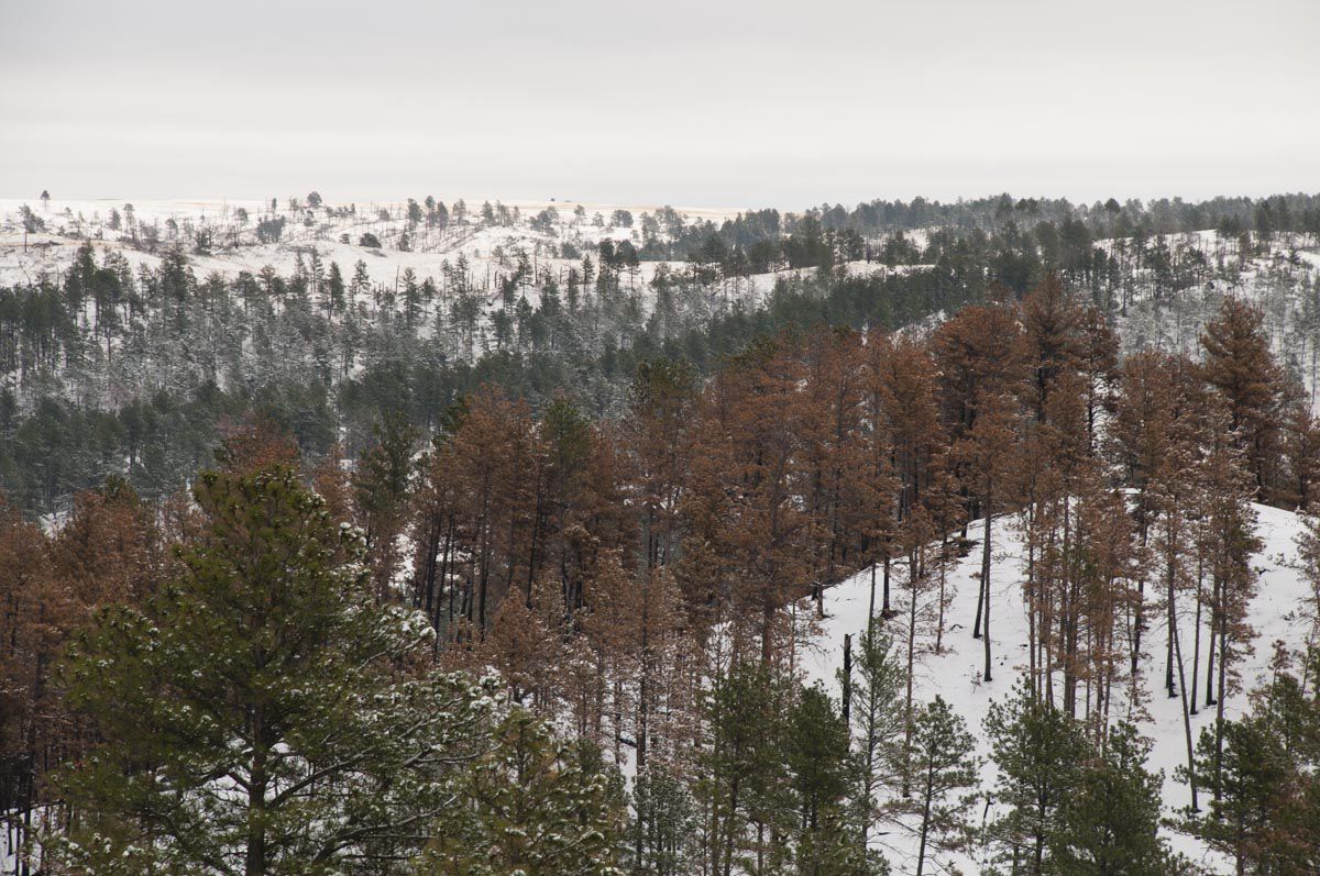 Chadron State Park in Dawes County